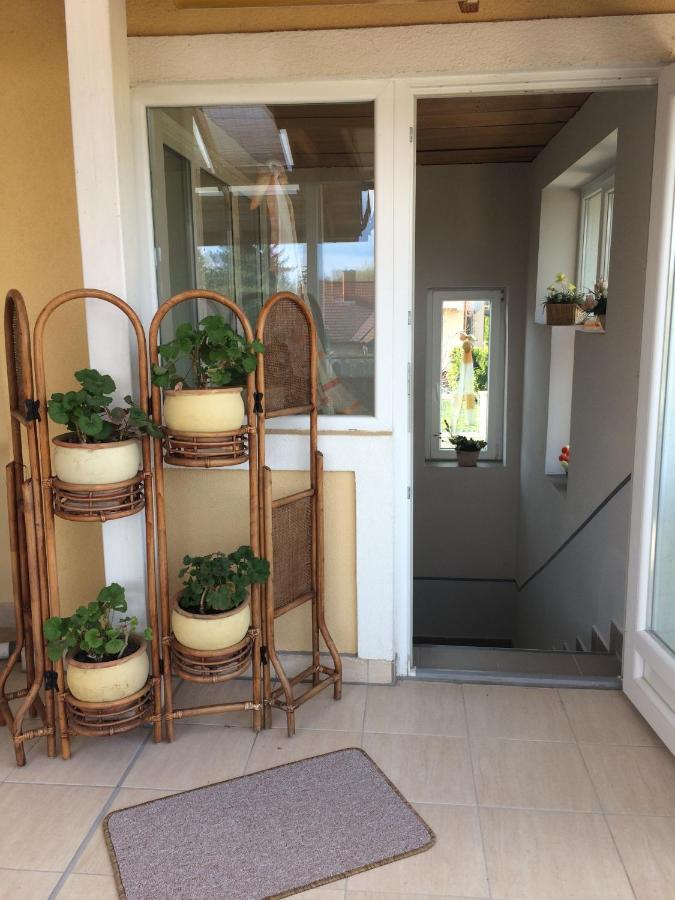 Apartment Virag